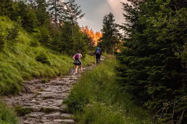 As Melhores Experiências de Caminhadas em Meio à Natureza Selvagem